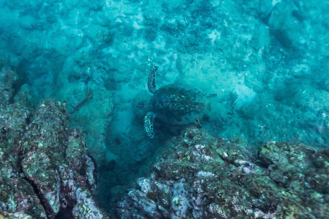 فيلا Casa Danta Drakes Bay المظهر الخارجي الصورة